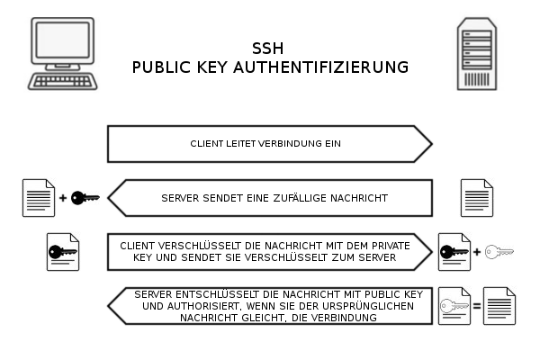 ssh send public key