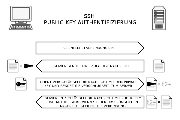 Ssh public